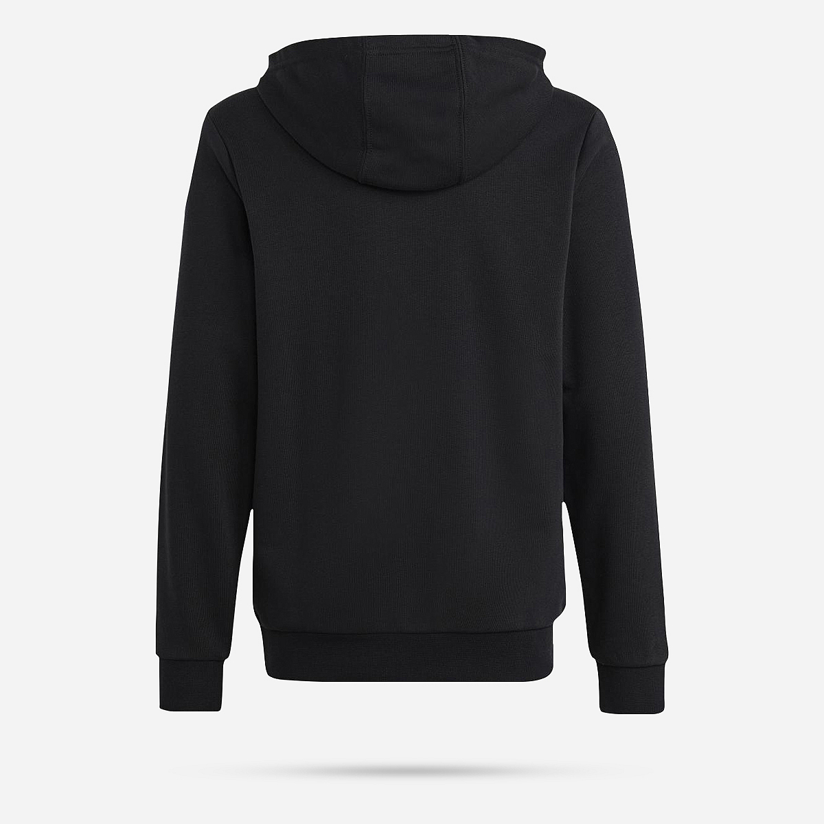 AN321176 Big Logo Essentials Cotton Hoodie