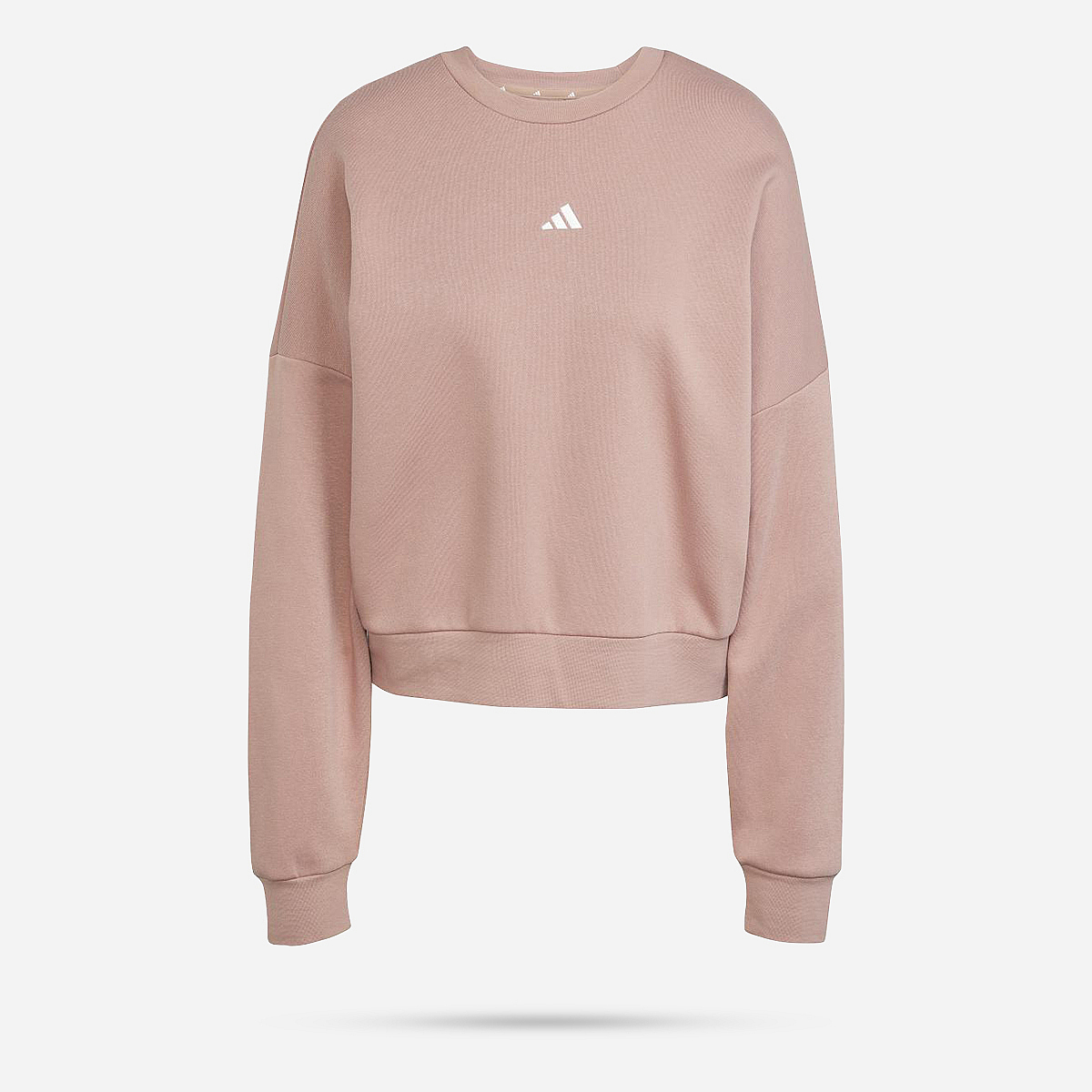 AN321098 Essentials Small Logo Feelcozy Sweatshirt