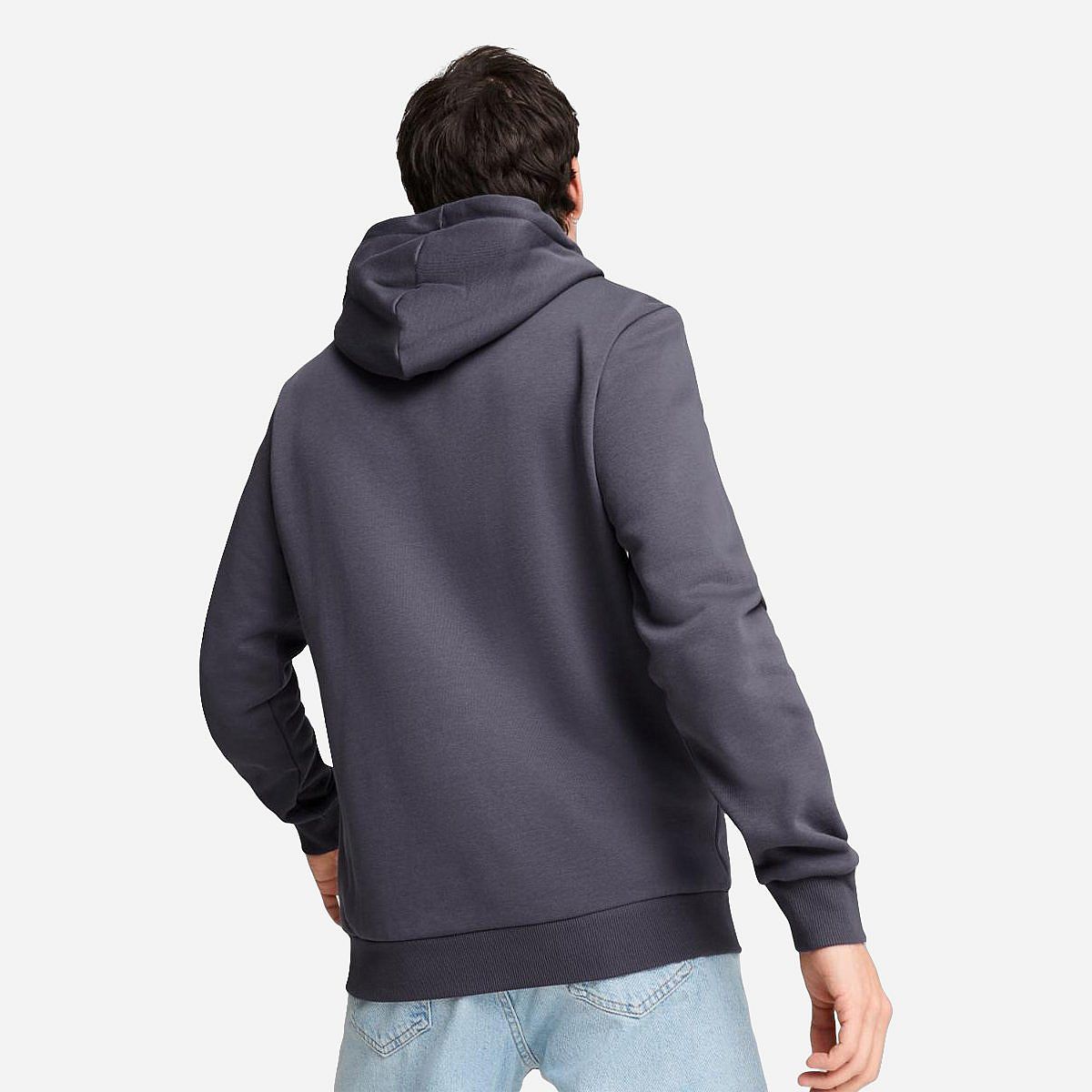 AN316036 Essentials Big Logo Hoodie Heren