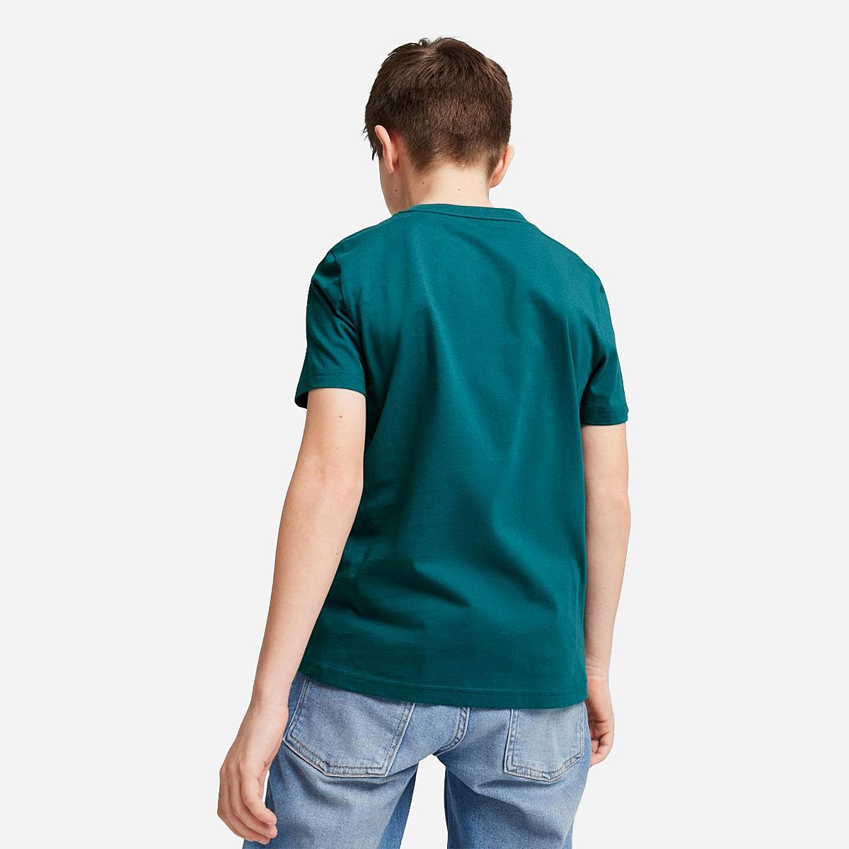 AN316047 Essentials Logo T-shirt Junior