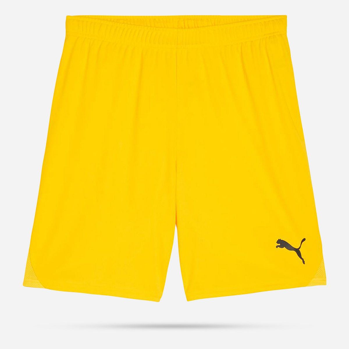 AN308390 Teamgoal Shorts Senior