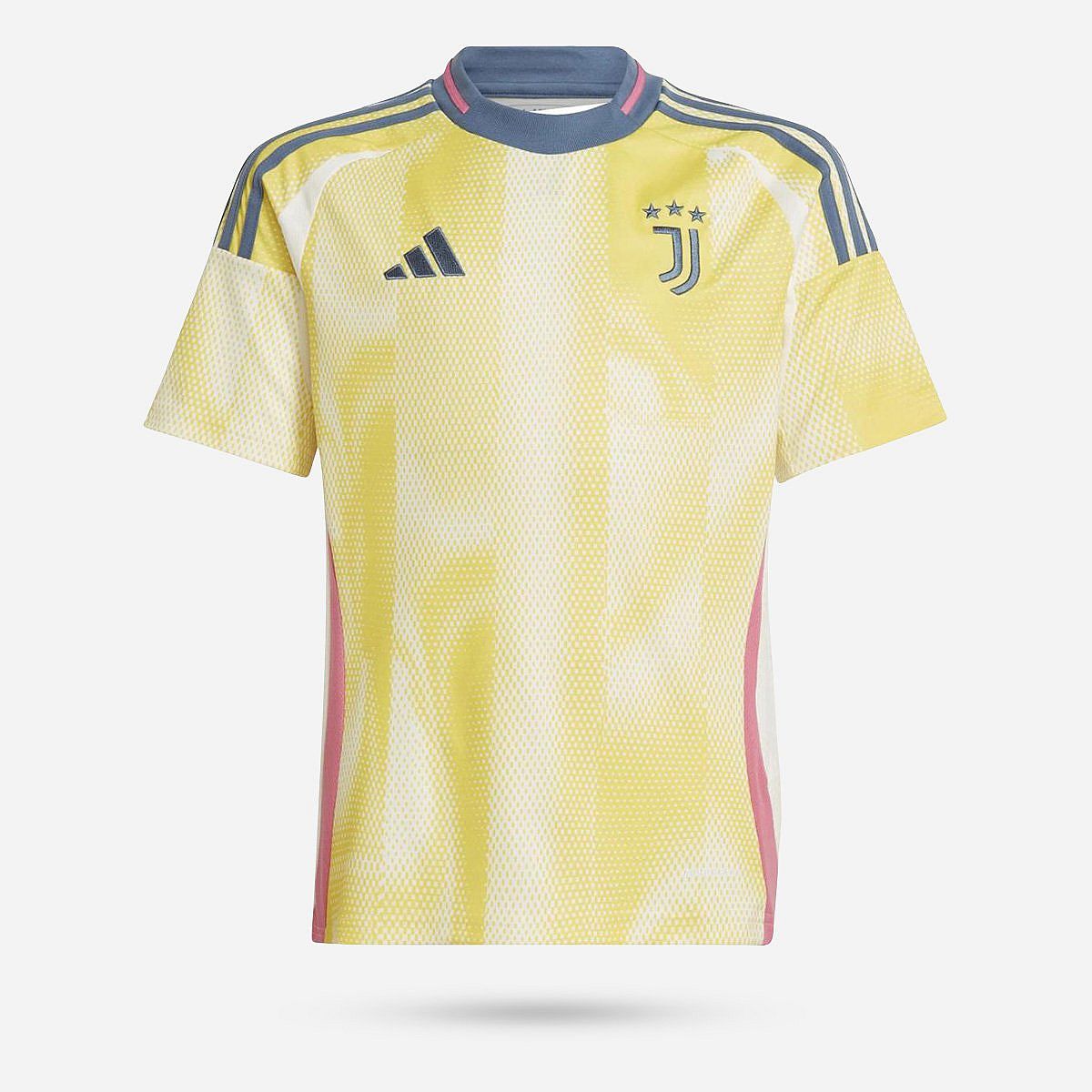 AN315507 Juventus 2024/2025 Uitshirt junior