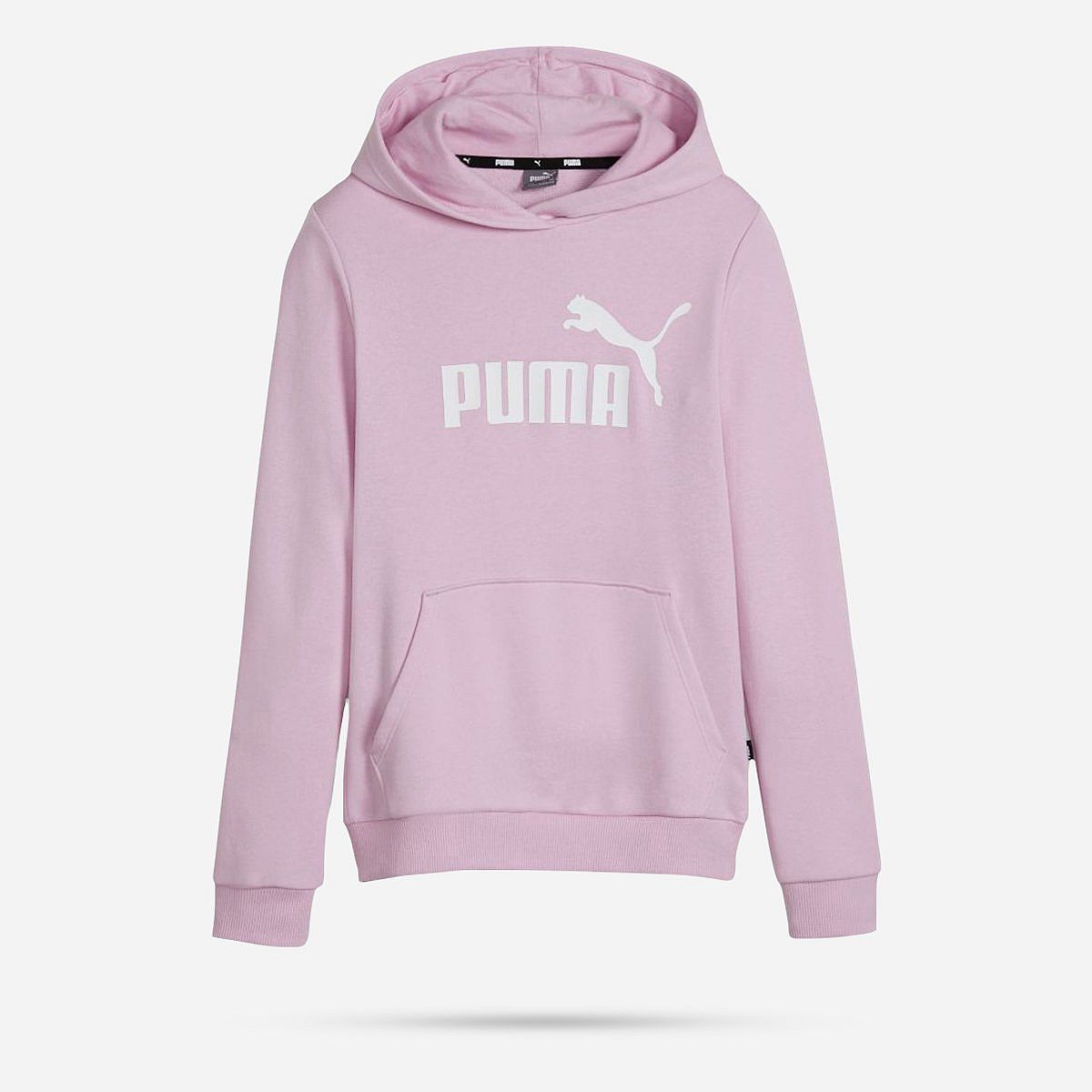 AN308207 Essentials Logo Hoodie Junior