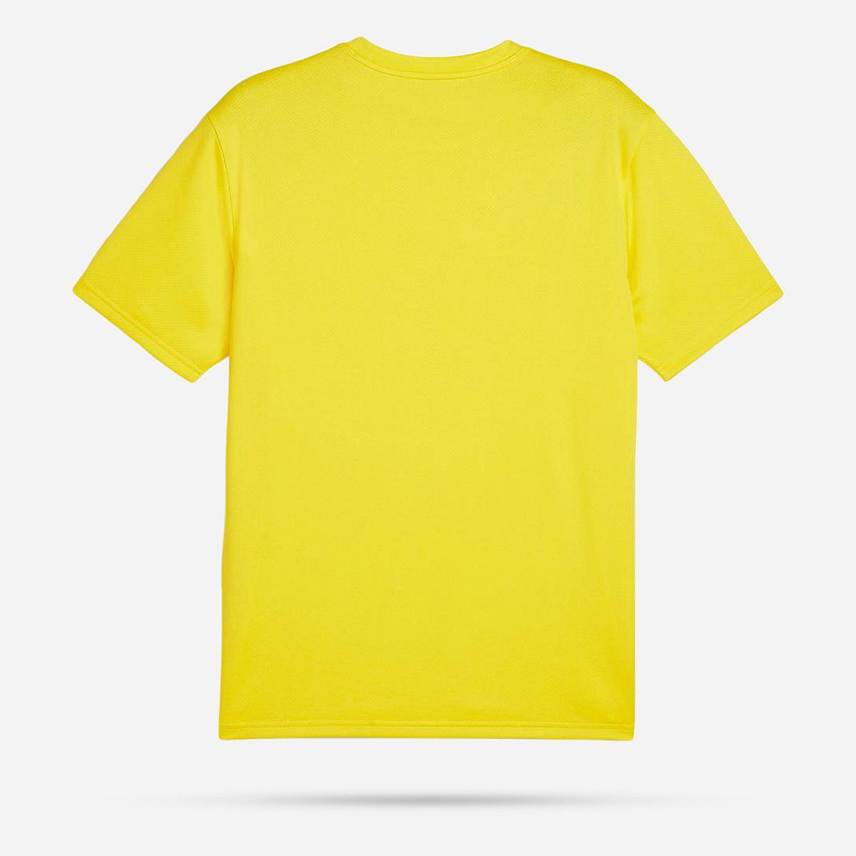 AN308389 Teamgoal Shirt Senior