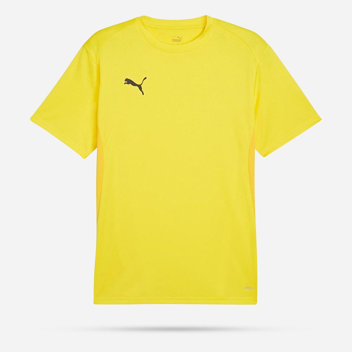 AN308389 Teamgoal Shirt Senior