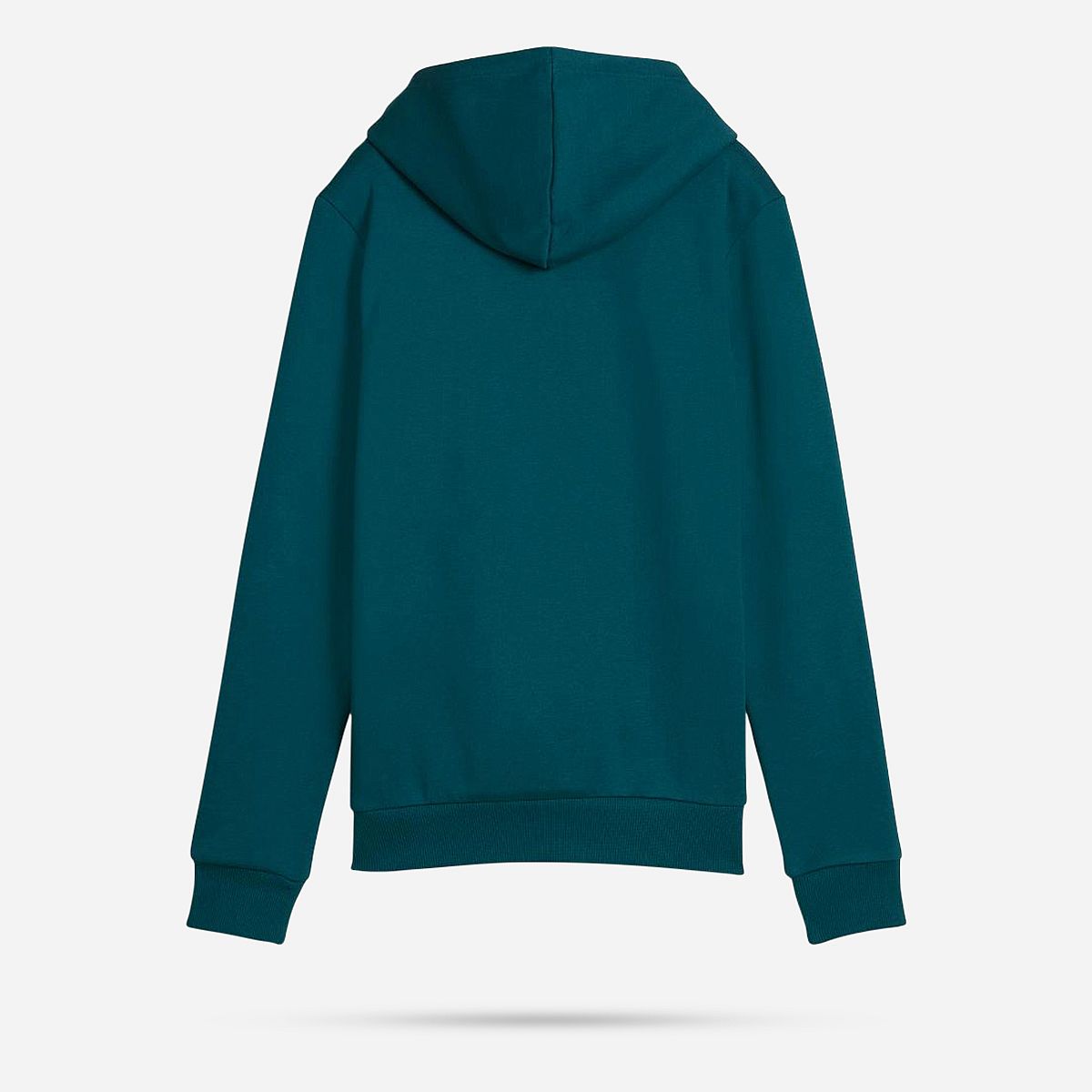 AN316029 Essentials Logo Fleece Hoodie Dames