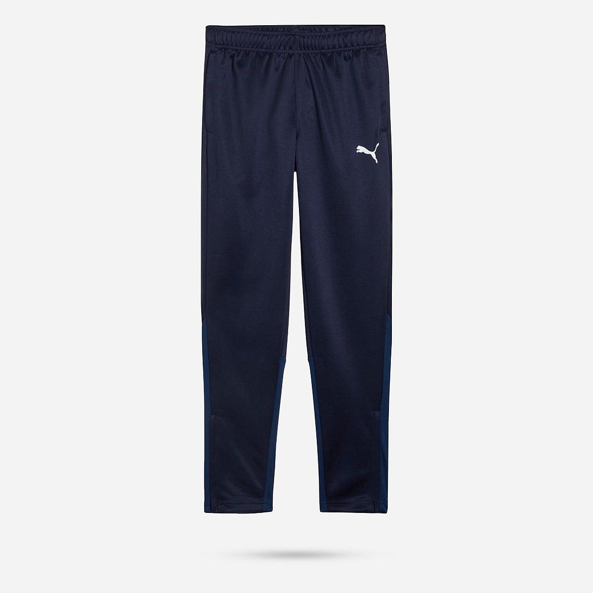 AN317090 Teamgoal Training Pant Junior