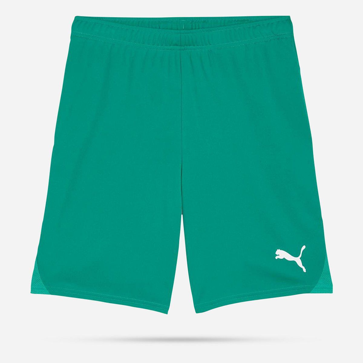 AN308385 Teamgoal Shorts Senior