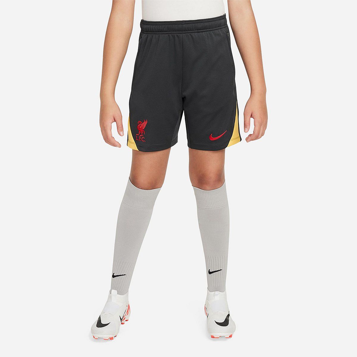 AN316532 Liverpool FC 3rd Trainingsshort 2024/2025 Junior