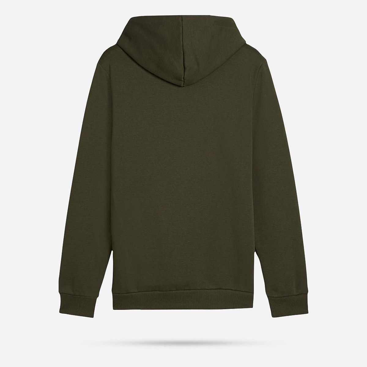 AN316030 Essentials Big Logo Hoodie Heren