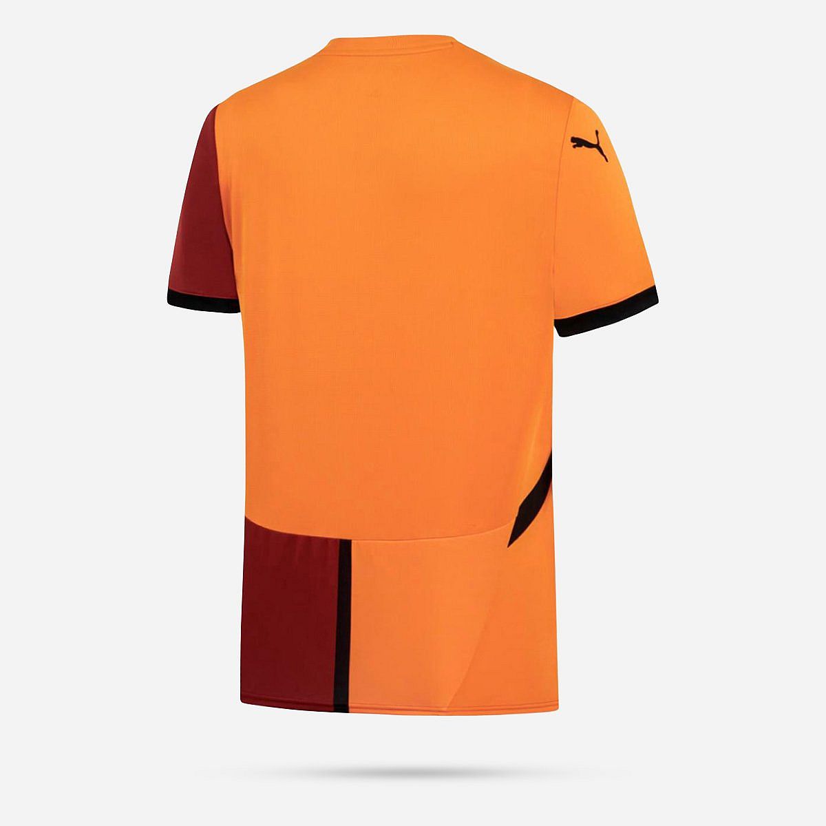 AN317020 Galatasaray Thuisshirt 2024/2025 Senior