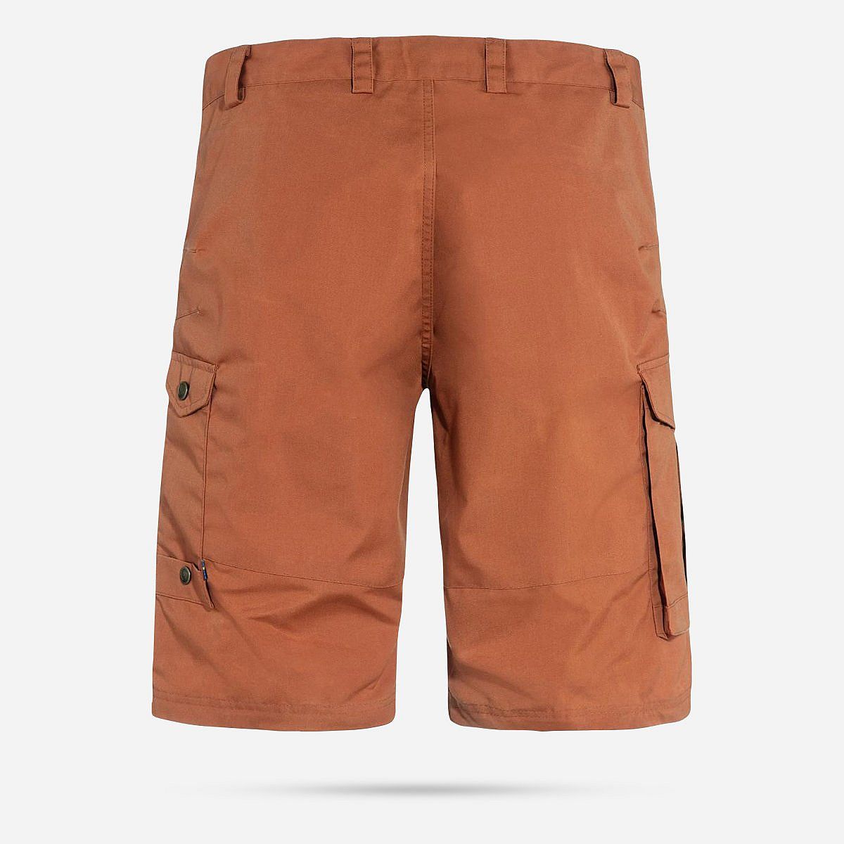 AN311480 Barents Pro Shorts