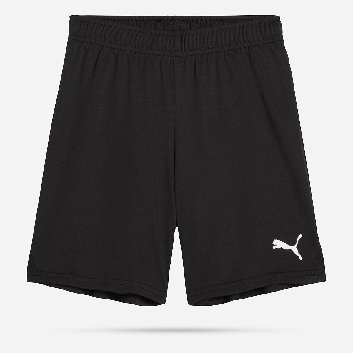 AN308406 Teamgoal Shorts Junior