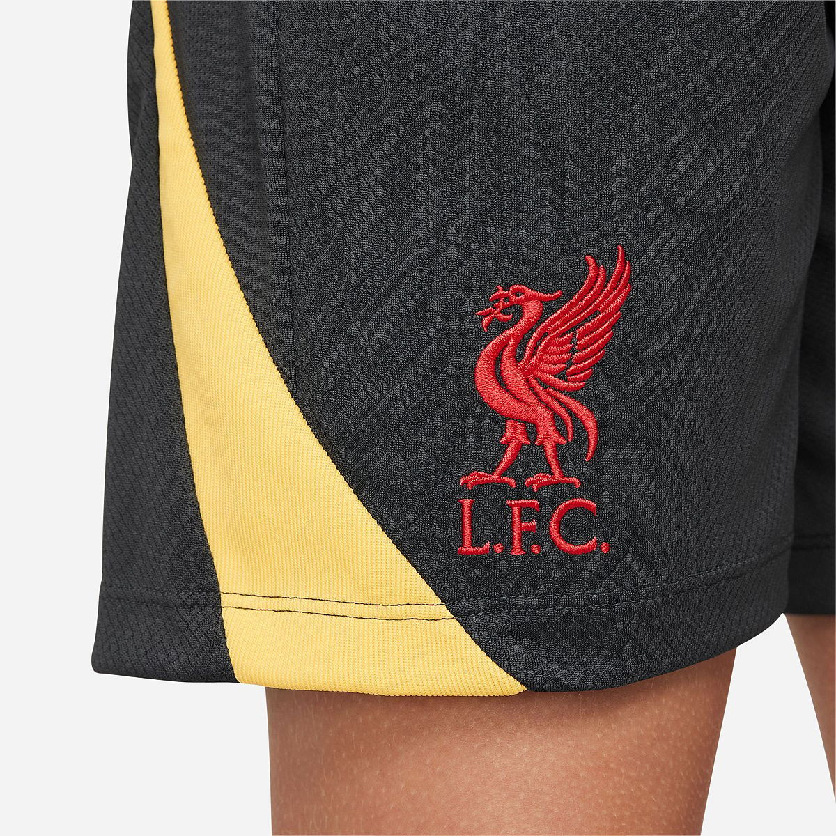 AN316532 Liverpool FC 3rd Trainingsshort 2024/2025 Junior