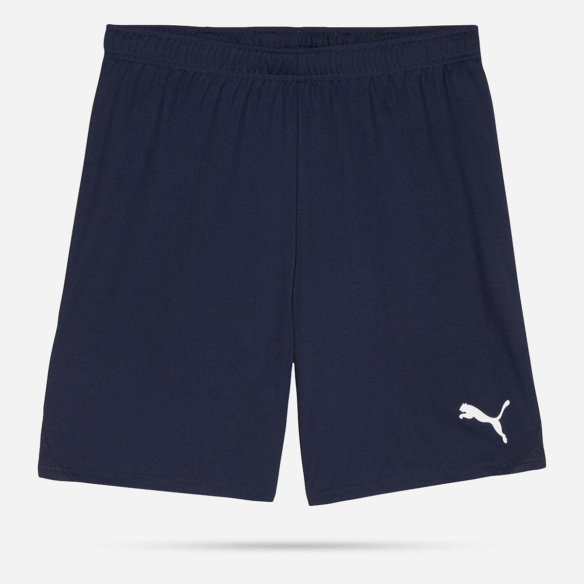 AN308400 Teamgoal Shorts Senior