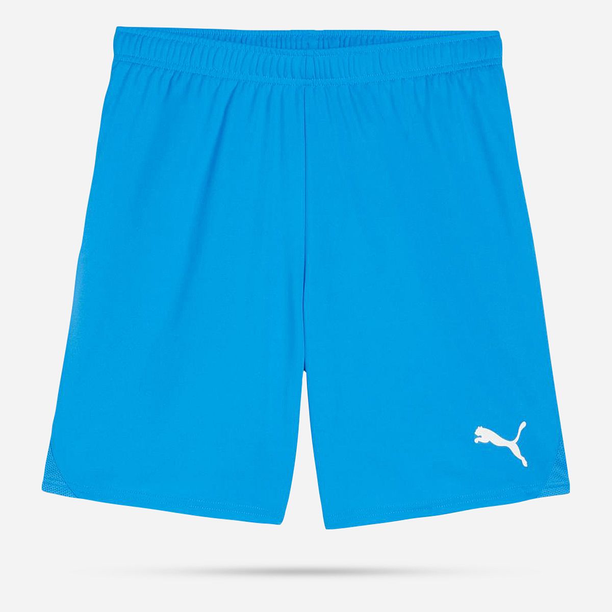 AN308387 Teamgoal Shorts Senior