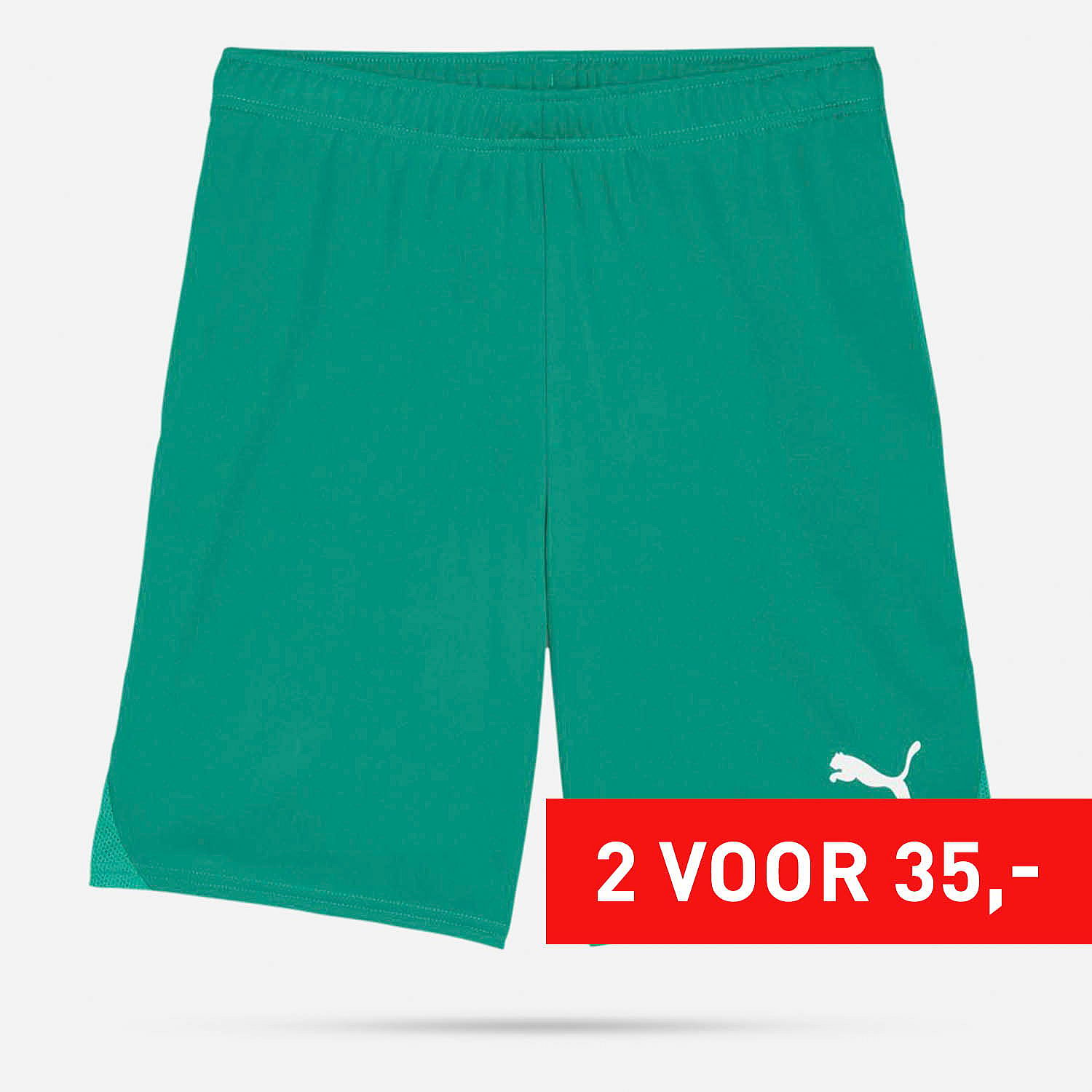 AN308385 Teamgoal Shorts Senior