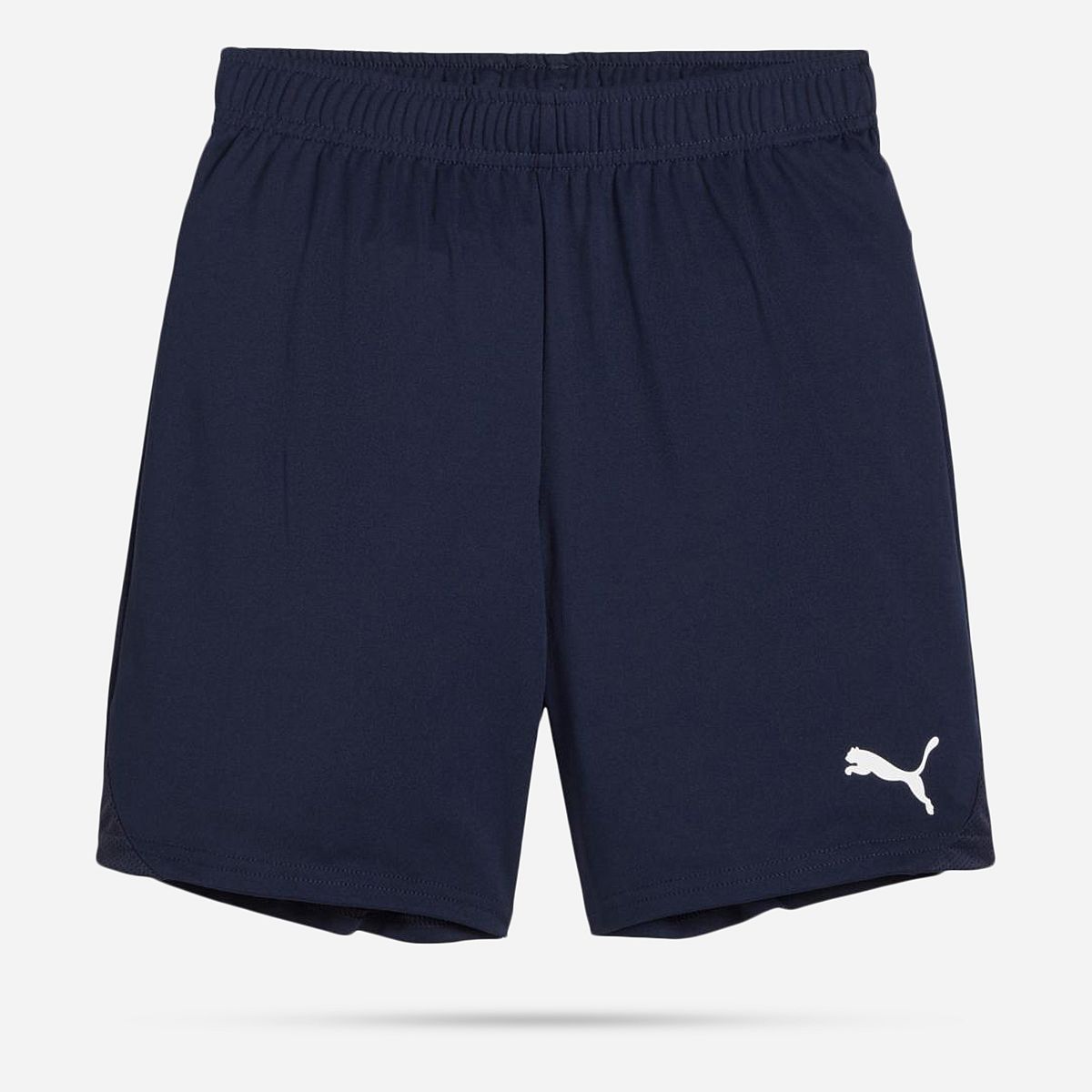 AN308403 Teamgoal Shorts Junior