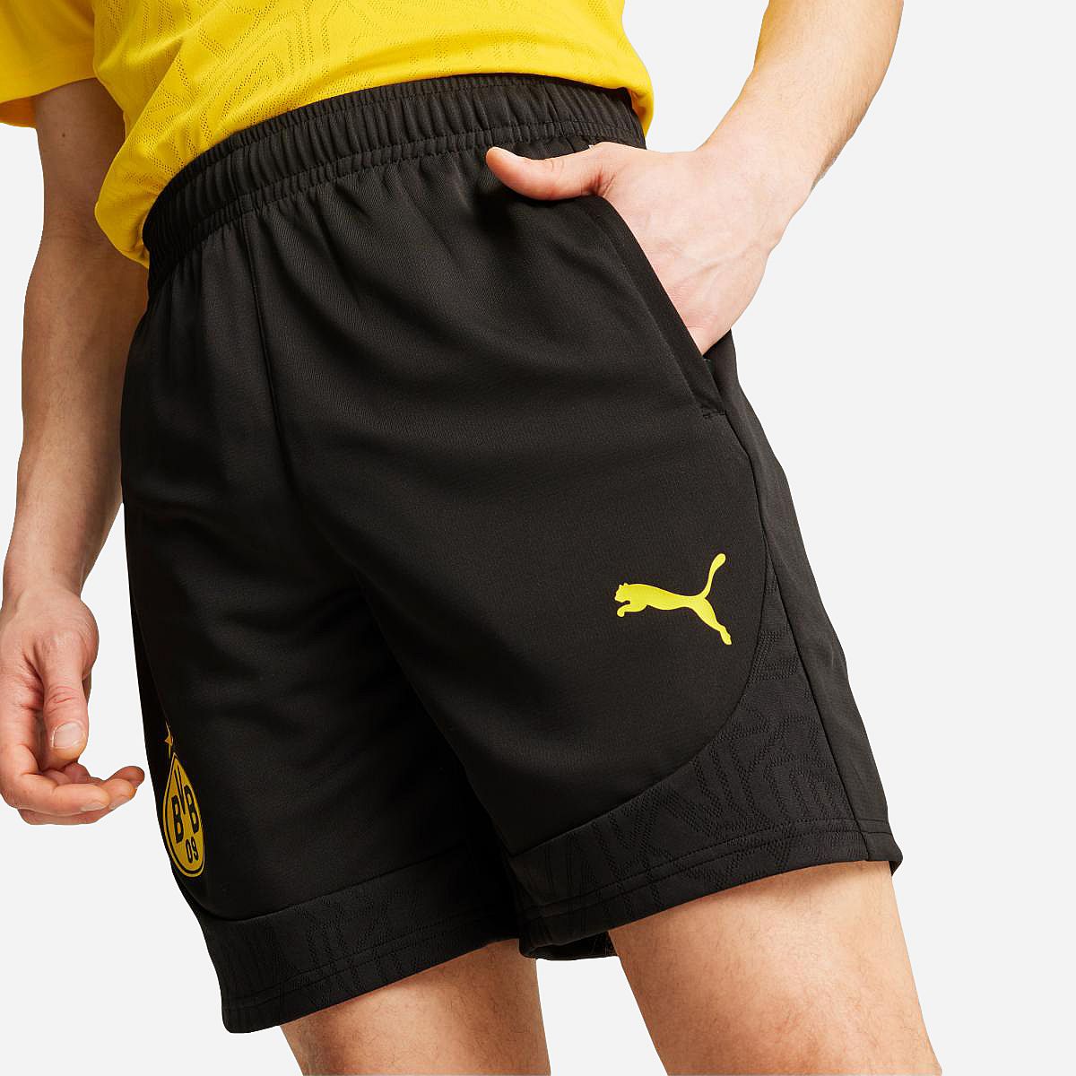 AN315542 Borussia Dortmund Trainingsshort 24/25