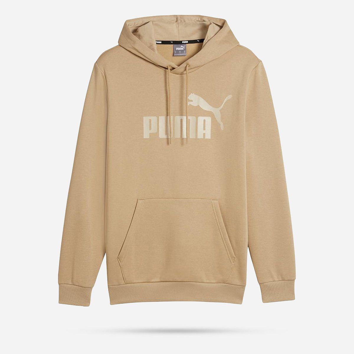 AN308219 Essentials Big Logo Hoodie Heren