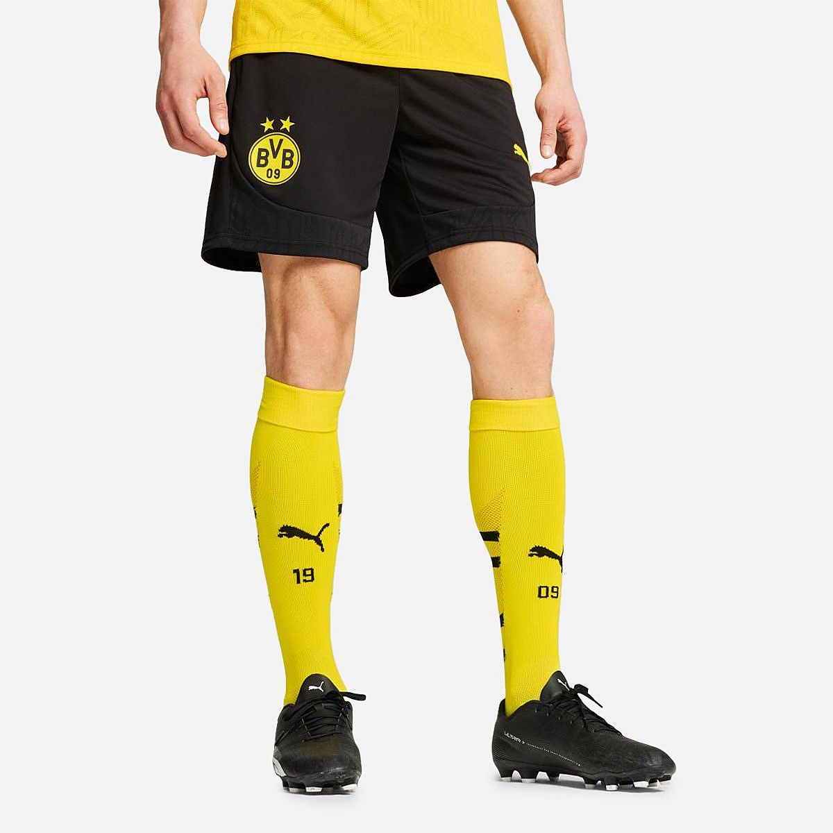 AN315542 Borussia Dortmund Trainingsshort 2024/2025 Senior