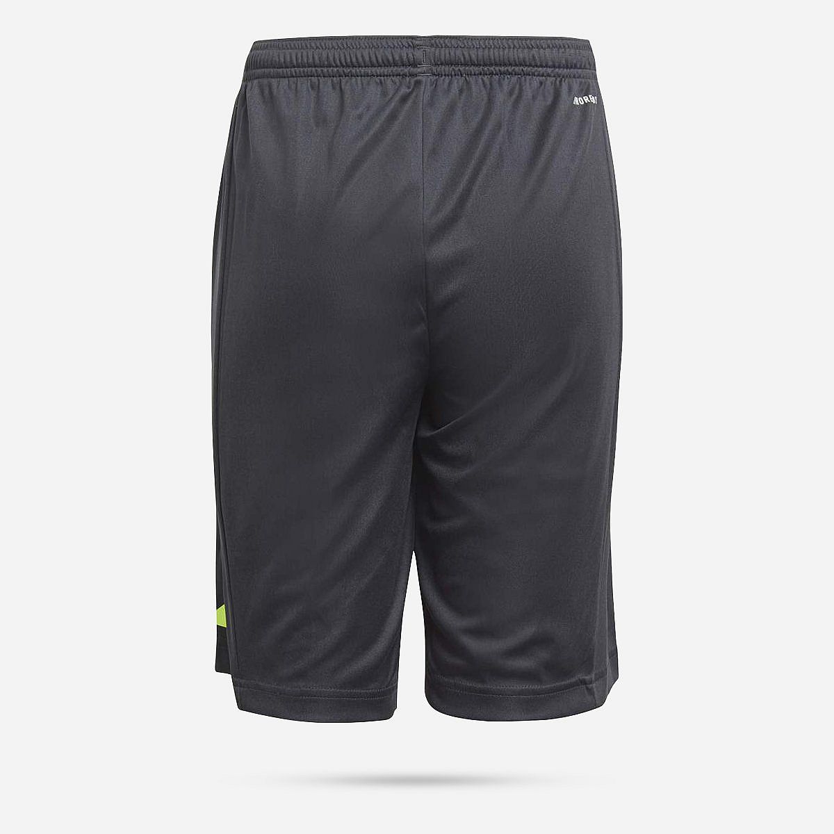 AN302212 Train Essentials AEROREADY Logo Regular-Fit Short