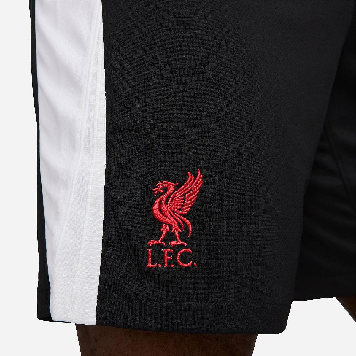 AN316544 Liverpool FC 3rd Short 2024/2025 Senior