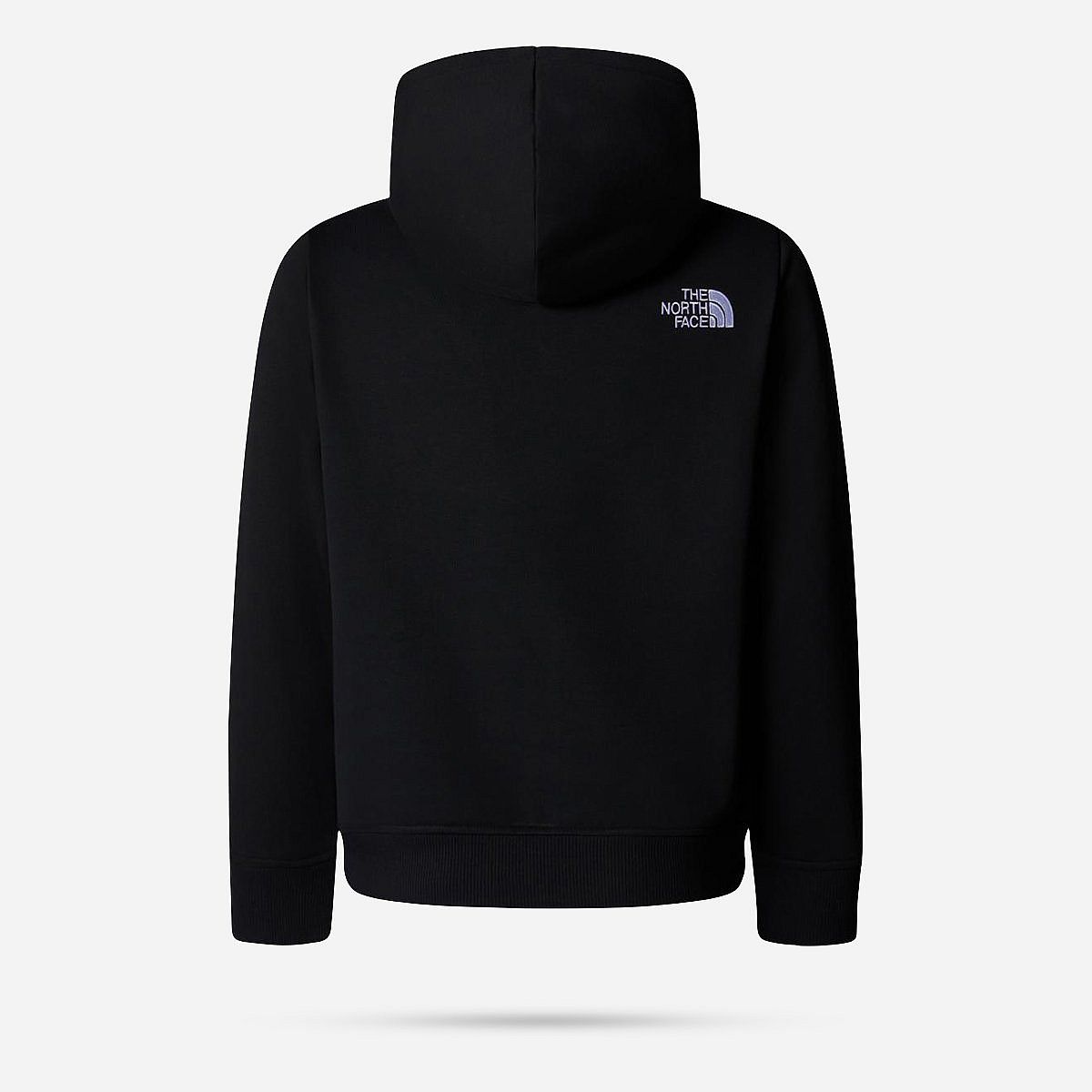 AN313671 Drew Peak P/O Hoodie