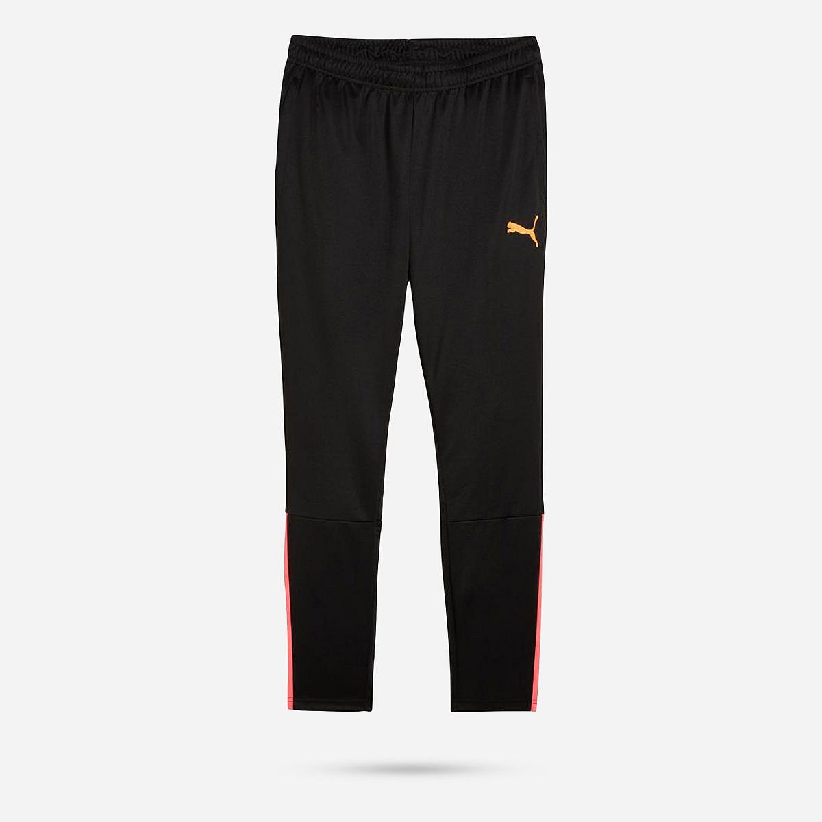 AN308541 Teamliga Training Pants