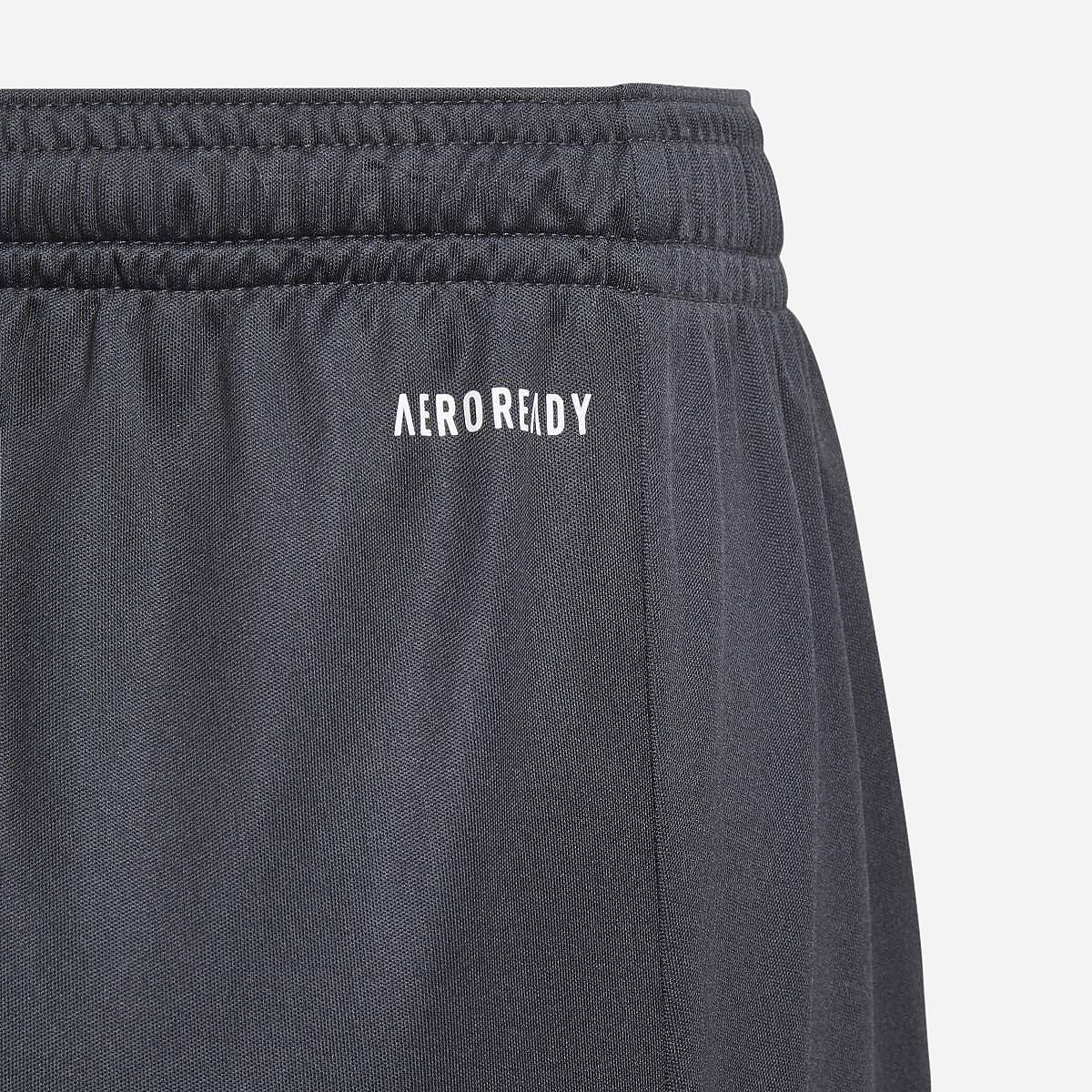 AN302212 Train Essentials AEROREADY Logo Regular-Fit Short