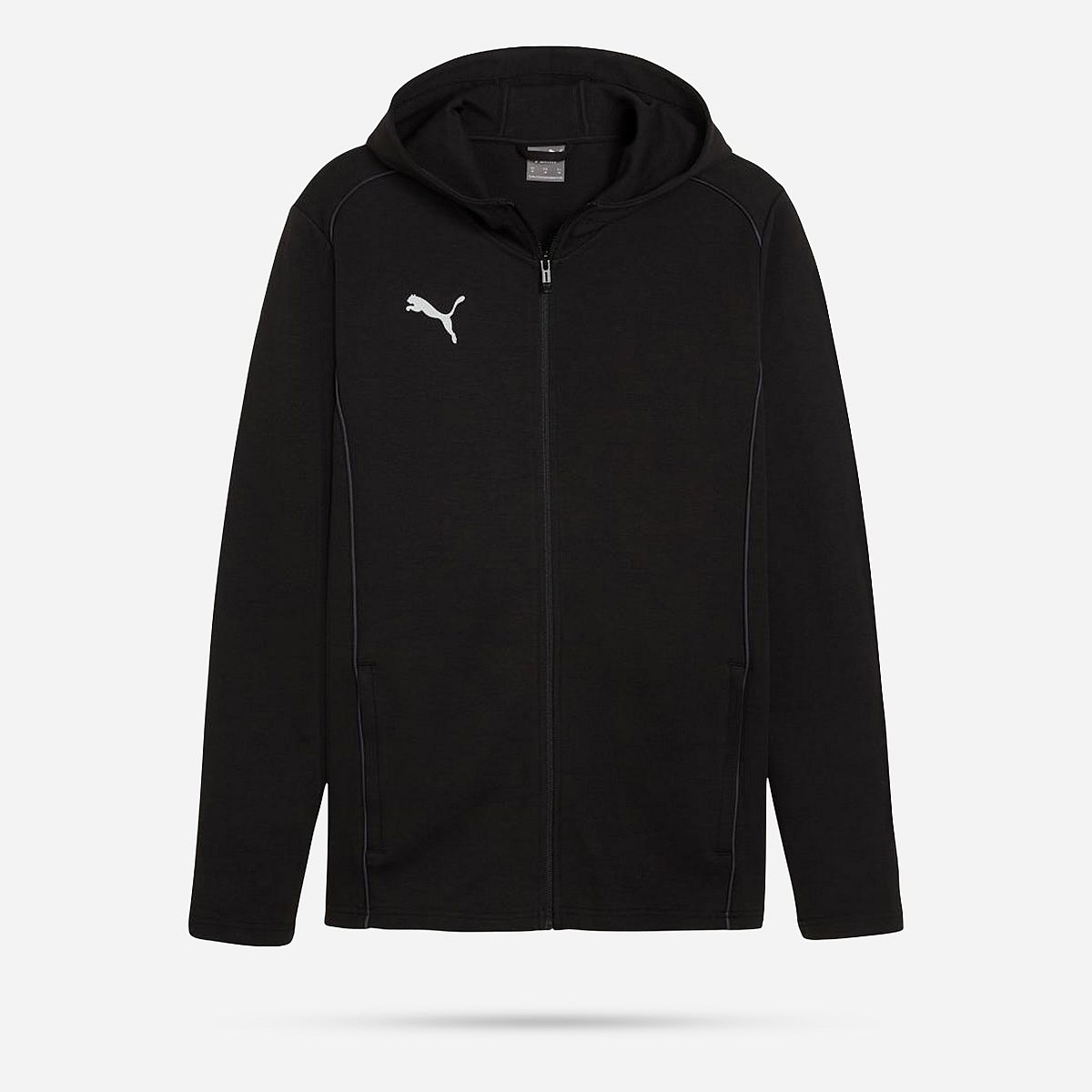 AN317093 Teamfinal Hoodie Heren