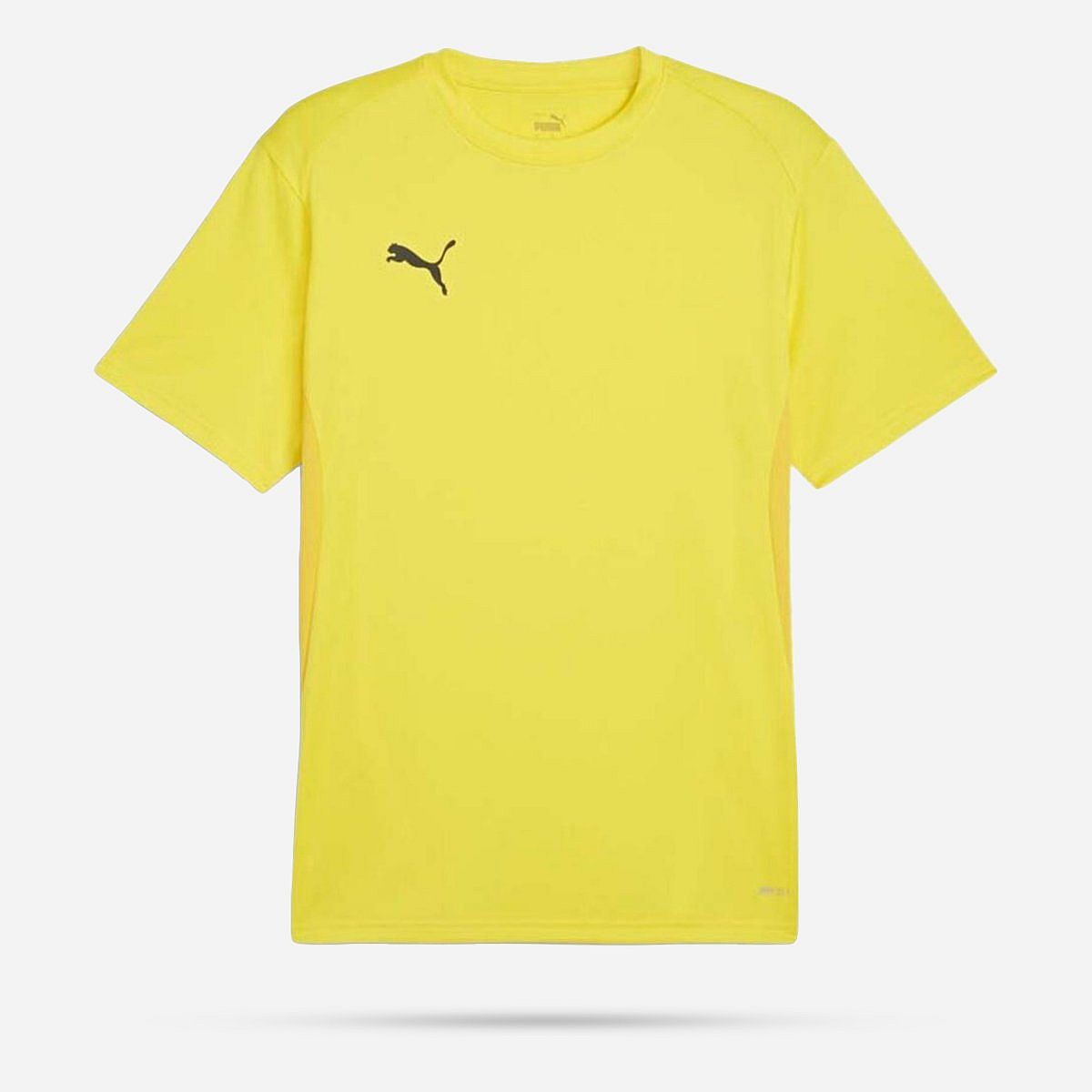 AN308414 Teamgoal Shirt Junior