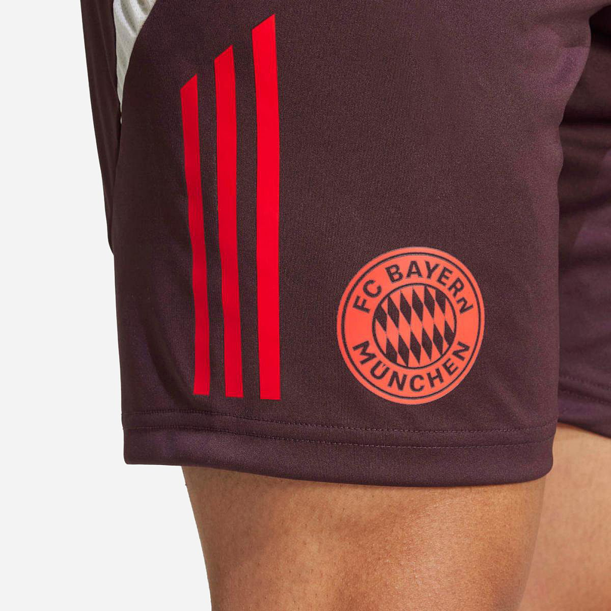 AN312193 FC Bayern München Trainingsshort 24/25