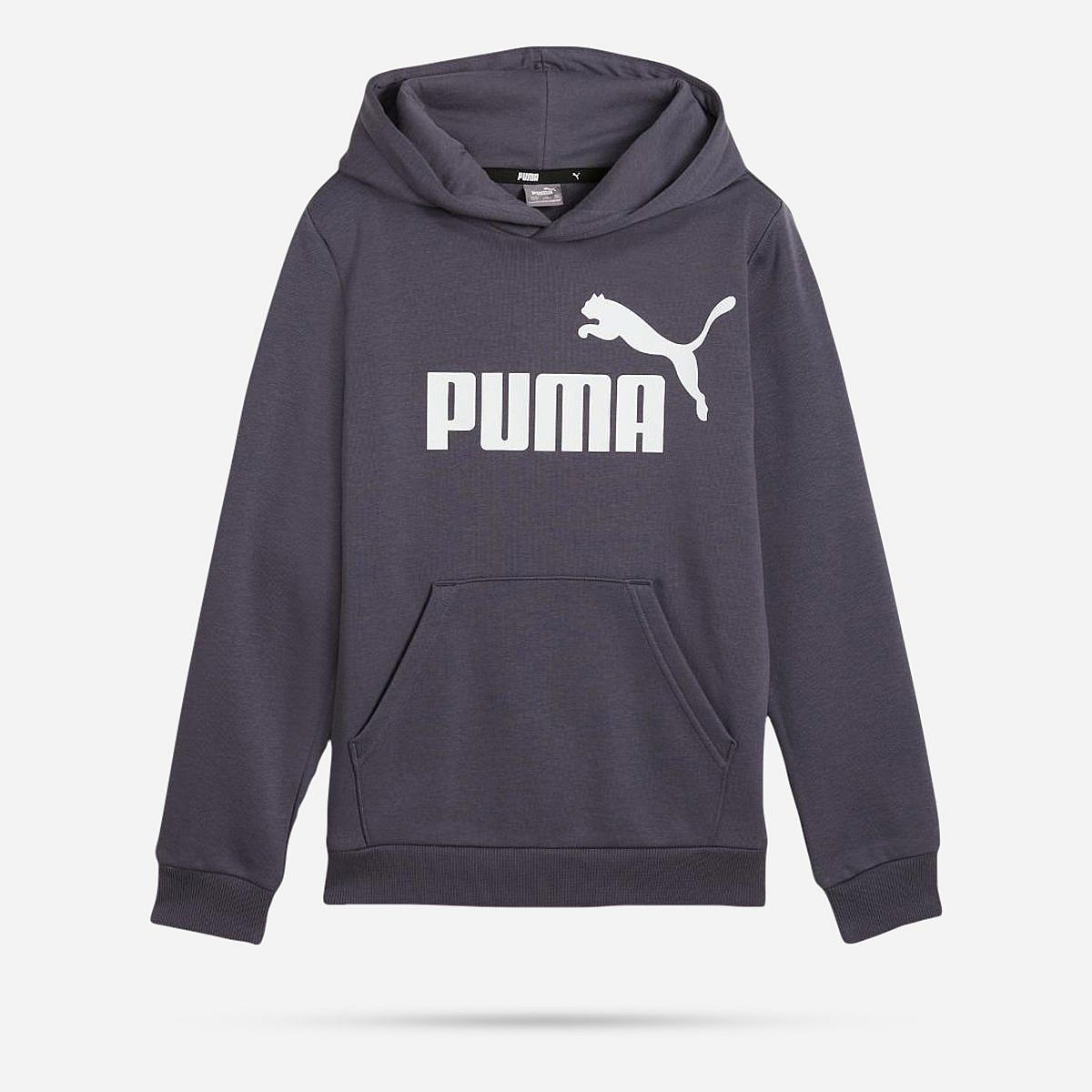 AN316045 Essentials Big Logo Hoodie Junior