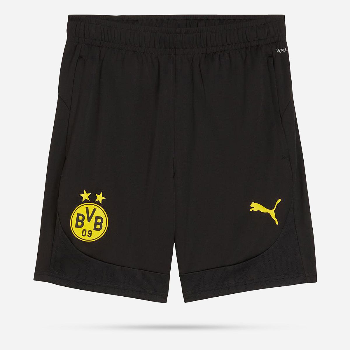 AN315542 Borussia Dortmund Trainingsshort 24/25