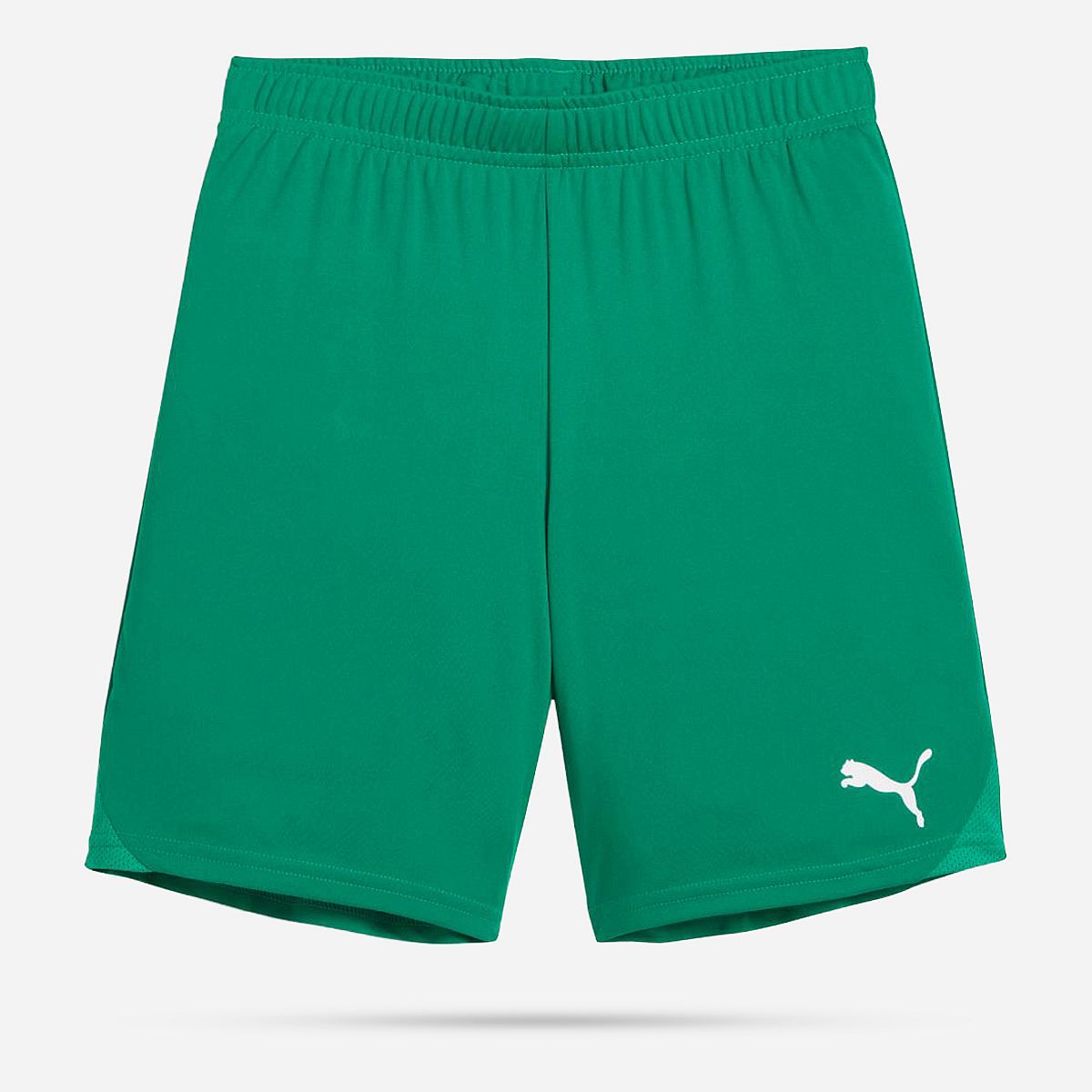 AN308410 Teamgoal Shorts Junior