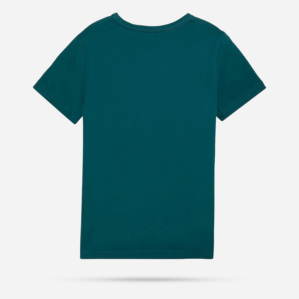 AN316047 Essentials Logo T-shirt Junior