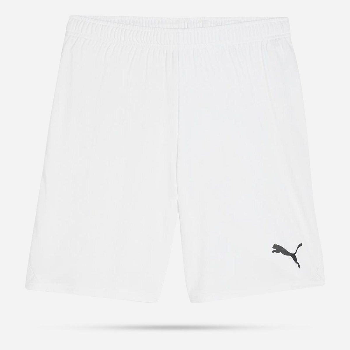 AN308393 Teamgoal Shorts Senior