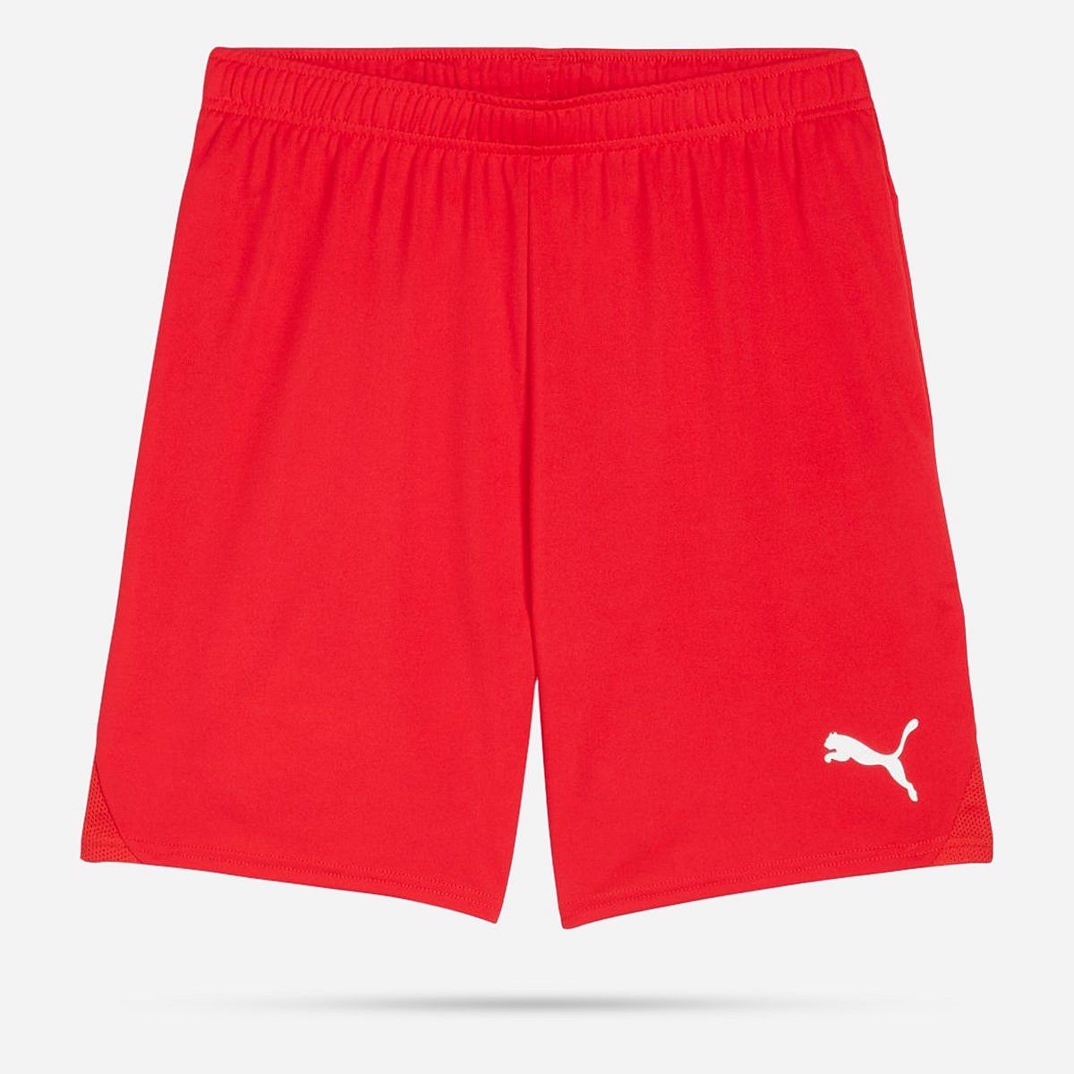 AN308397 Teamgoal Shorts Senior