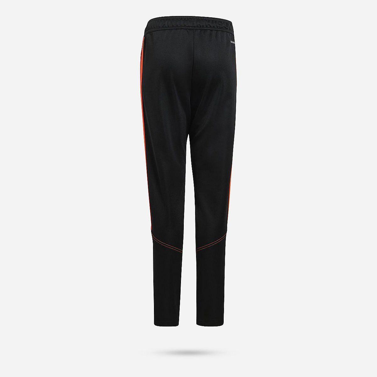 AN308912 Tiro 23 Club Training Broek