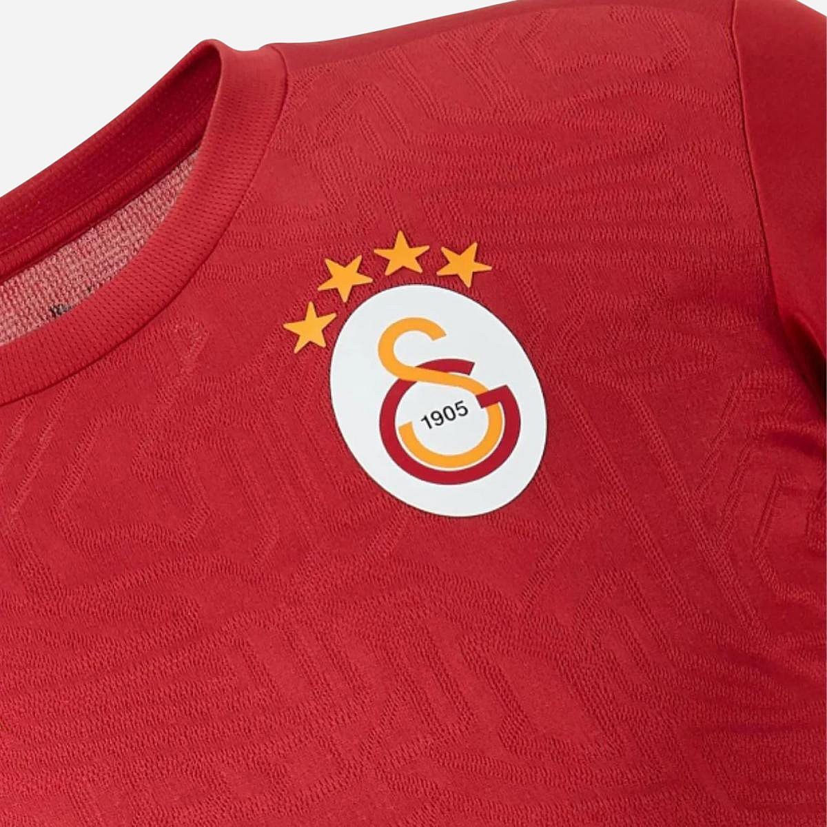 AN317018 Galatasaray Trainingsshirt 2024/2025 Senior