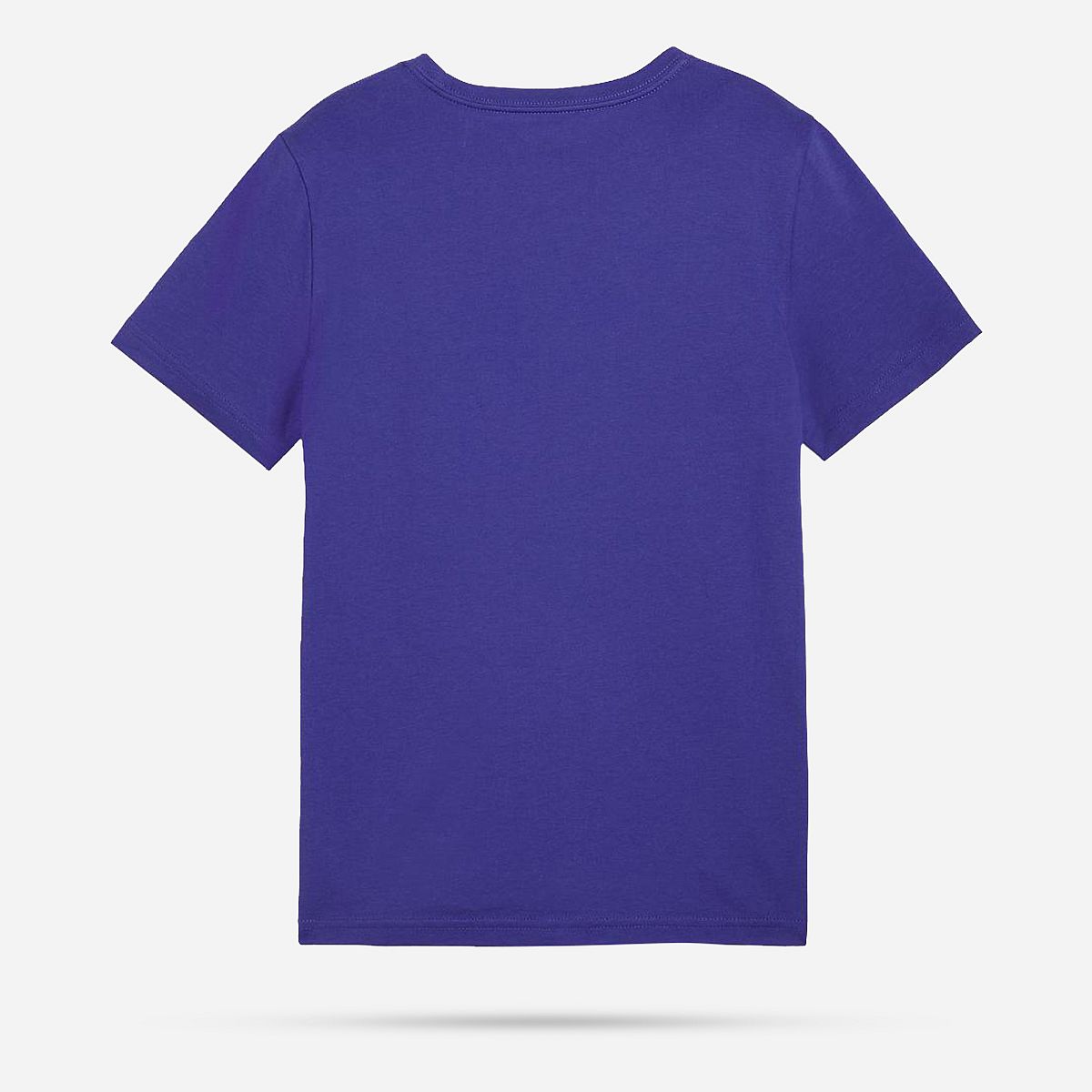 AN316049 Essentials Logo T-shirt Junior