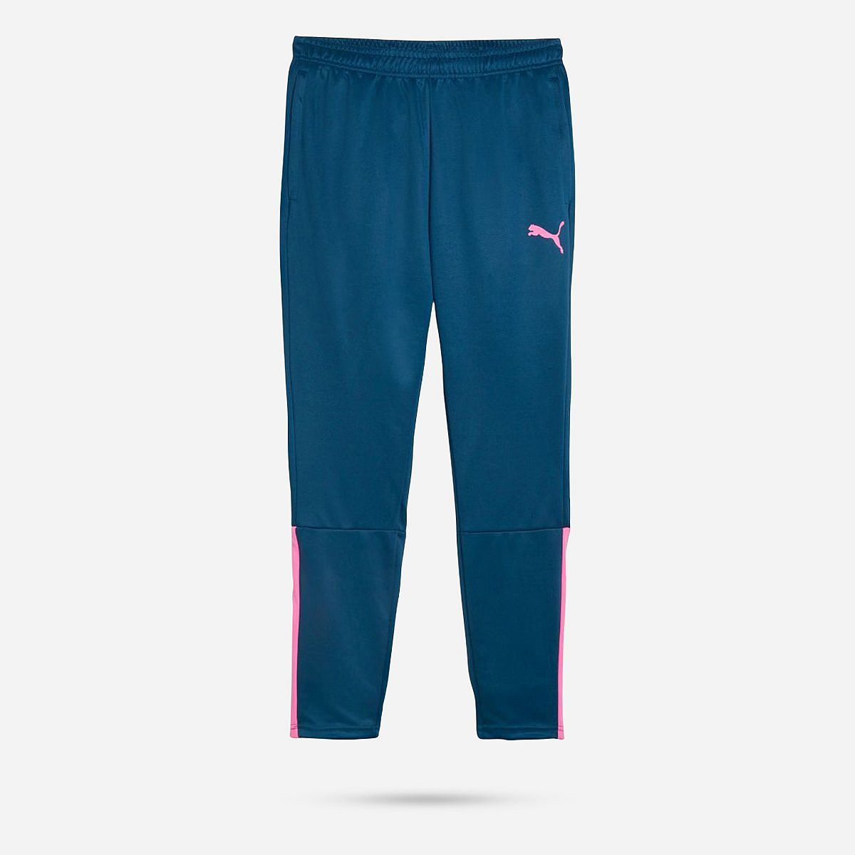 AN308548 Teamliga Training Pants