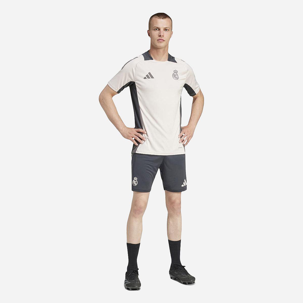 AN315498 Real Madrid Tiro 24 Competition Training Short 2024/2025 Senior