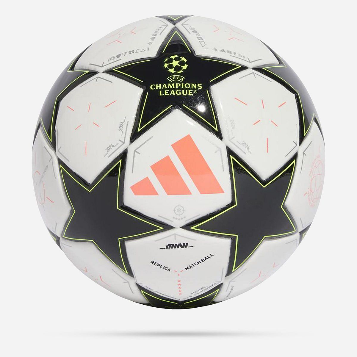 AN315872 Champions League Mini Bal 2024-2025