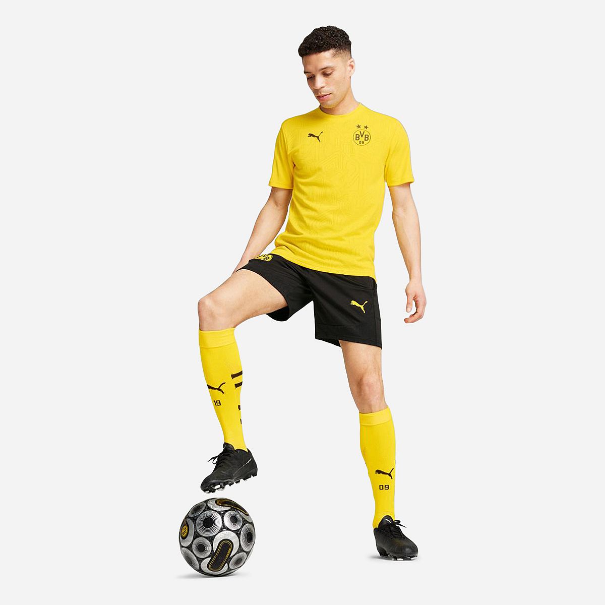 AN315542 Borussia Dortmund Trainingsshort 24/25