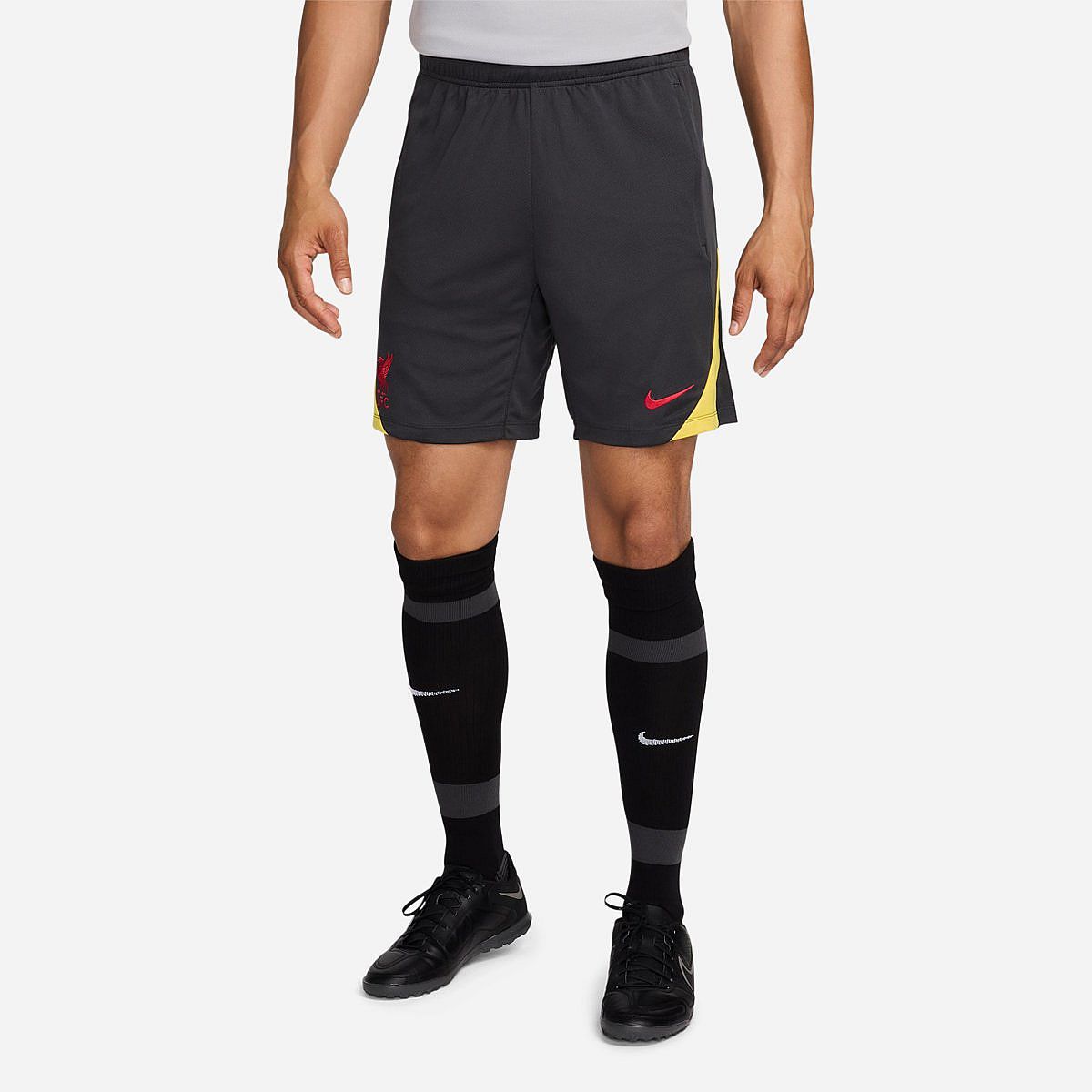 AN316520 Liverpool FC 3rd Trainingsshort 2024/2025 Senior