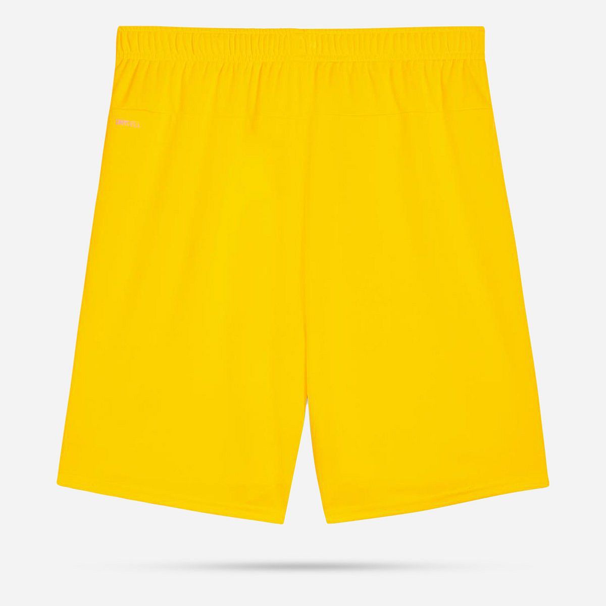 AN308390 Teamgoal Shorts Senior