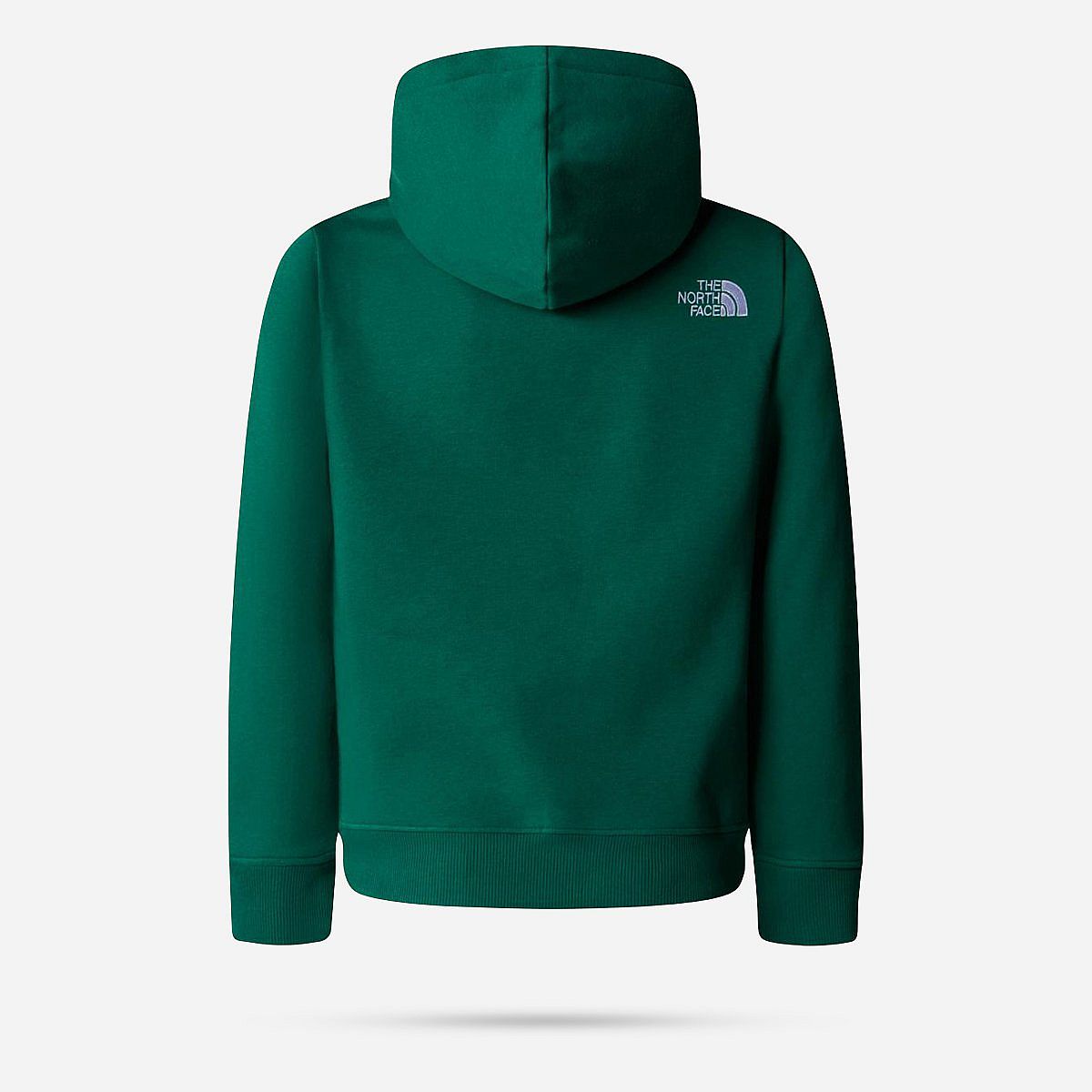 AN313670 Drew Peak P/O Hoodie