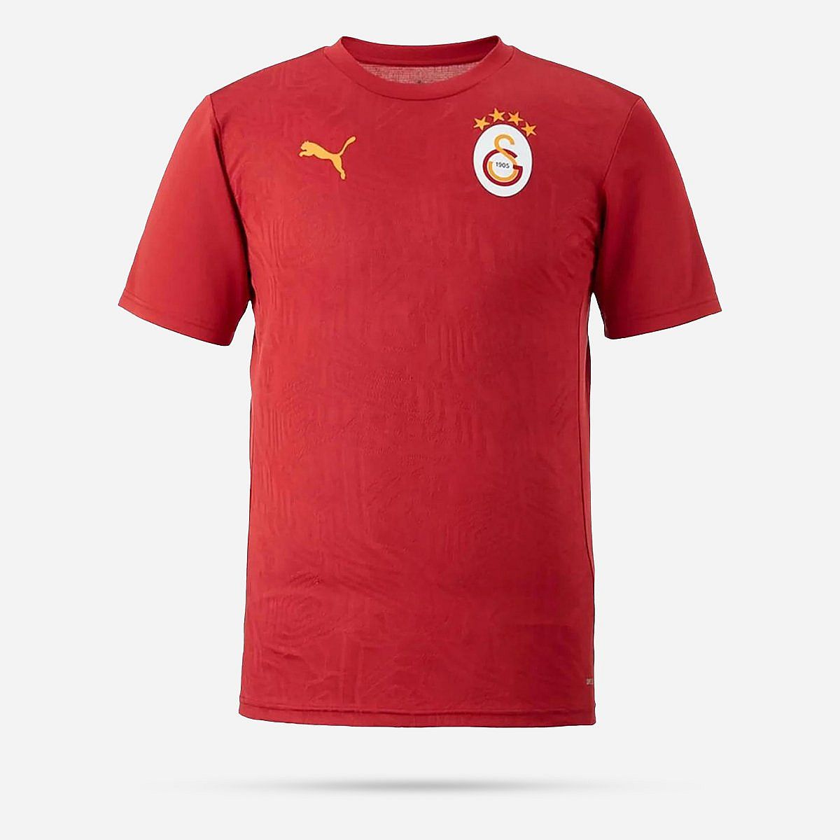 AN317018 Galatasaray Trainingsshirt 2024/2025 Senior